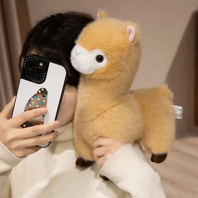 30cm40cm