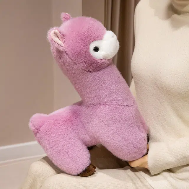 30cm40cm