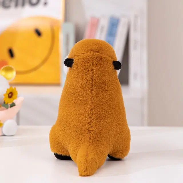 20cm