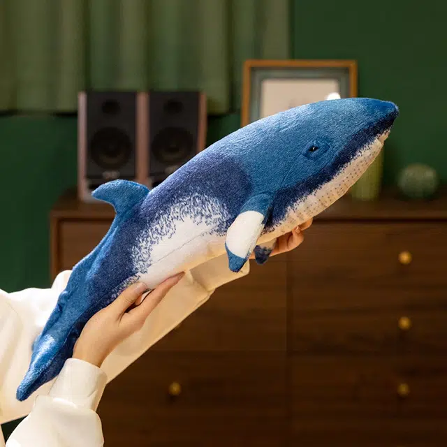 14cm