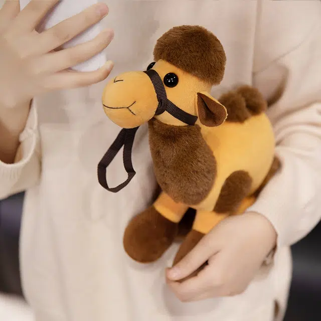 27cm