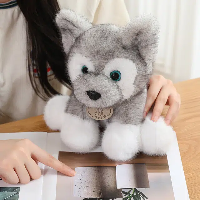 22cm