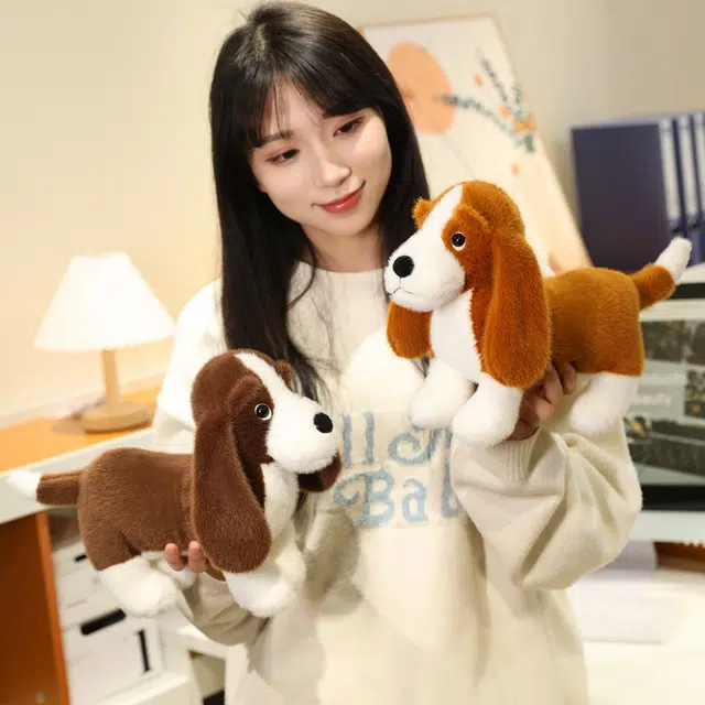 20cm