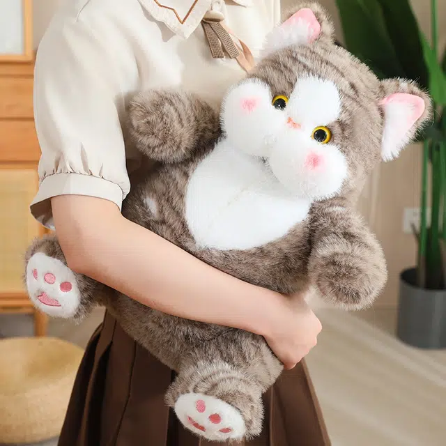 25cm40cm