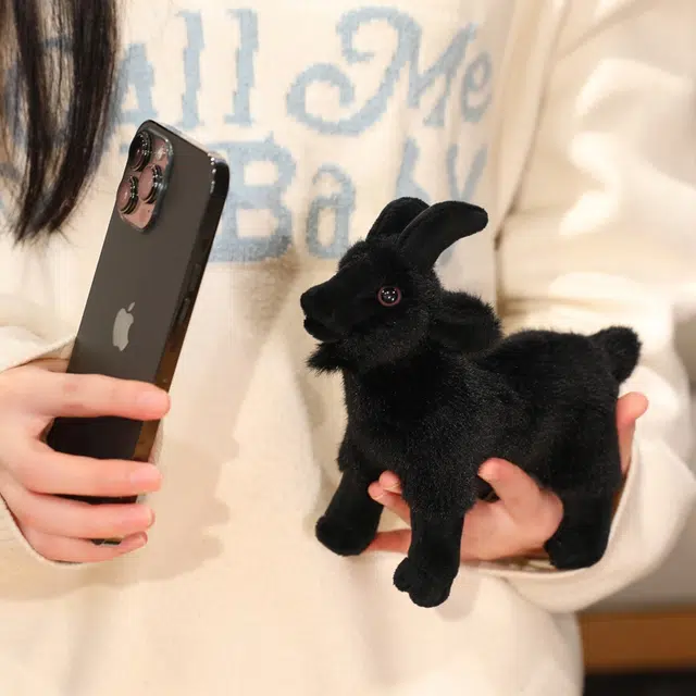16cm