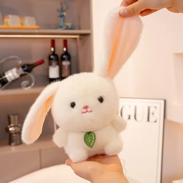 15cm