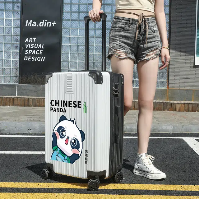 202224ABS2826