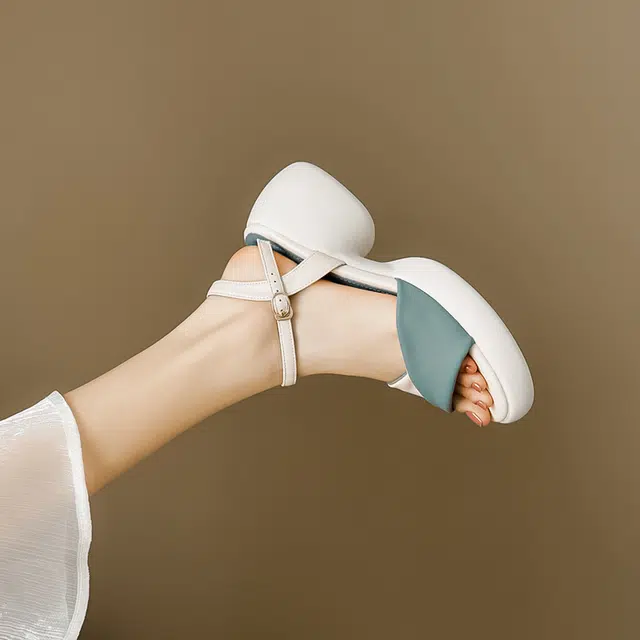 TATAYA 6.5cm
