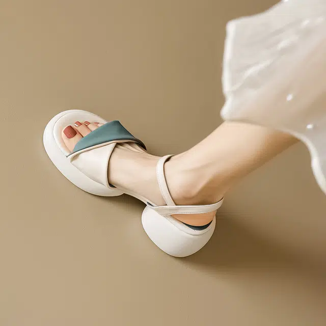 TATAYA 6.5cm