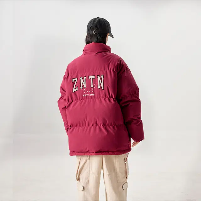 ZNTN logo