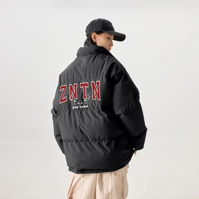 ZNTN logo