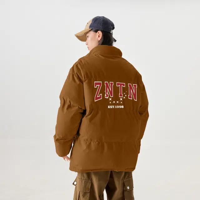ZNTN logo
