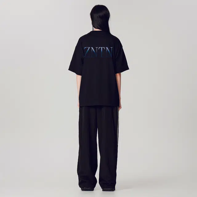 ZNTN T