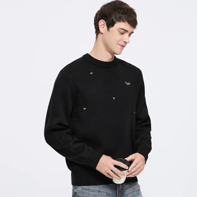 与狼共舞 轻奢羊毛时尚散点重工刺绣舒适保暖亲肤超柔软圆领套头毛衣 男款