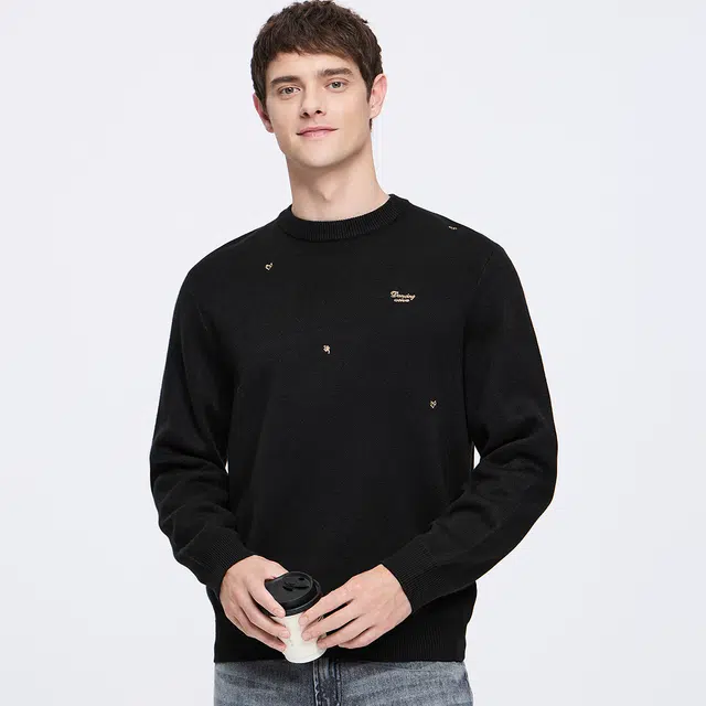 与狼共舞 轻奢羊毛时尚散点重工刺绣舒适保暖亲肤超柔软圆领套头毛衣 男款