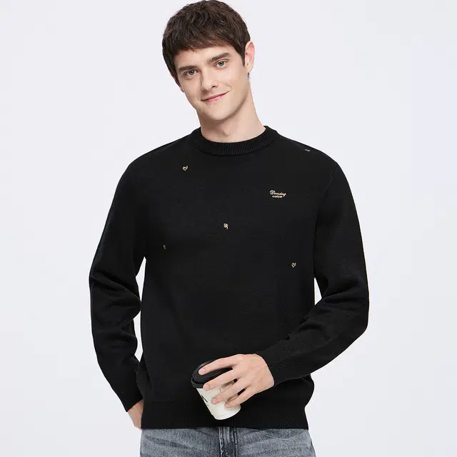 与狼共舞 轻奢羊毛时尚散点重工刺绣舒适保暖亲肤超柔软圆领套头毛衣 男款