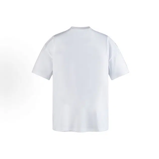 PAINT STAIN T