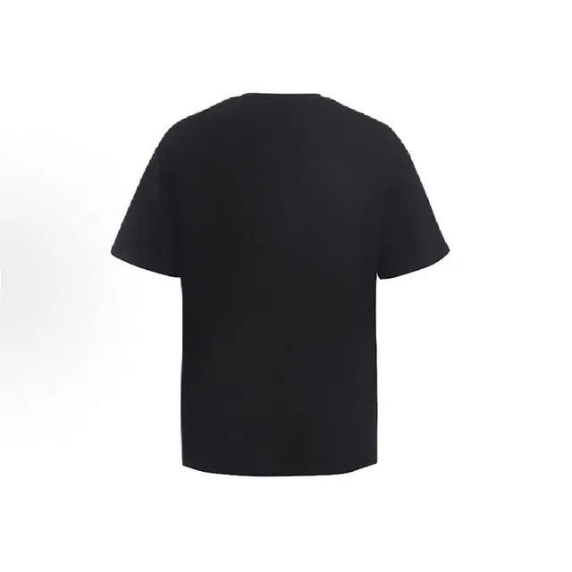 PAINT STAIN T