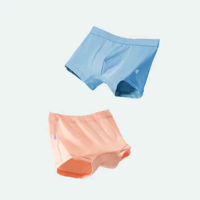 Dorsill 2