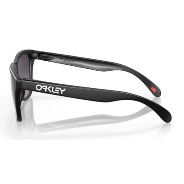 Oakley Frogskins 9245