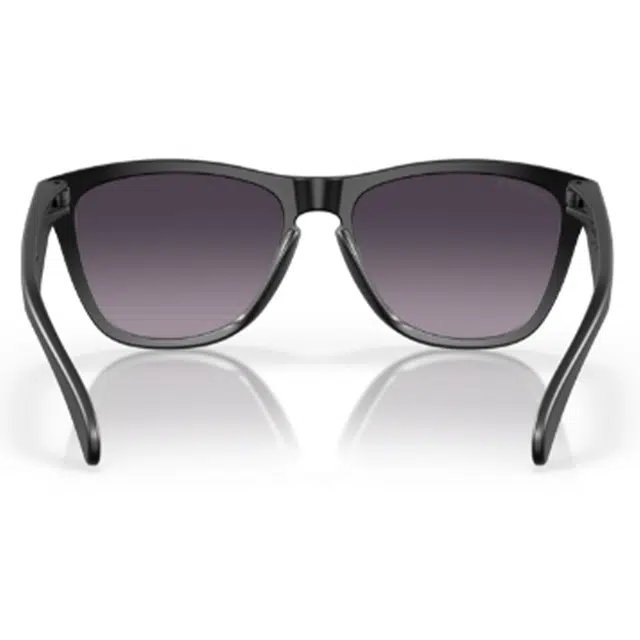 Oakley Frogskins 9245