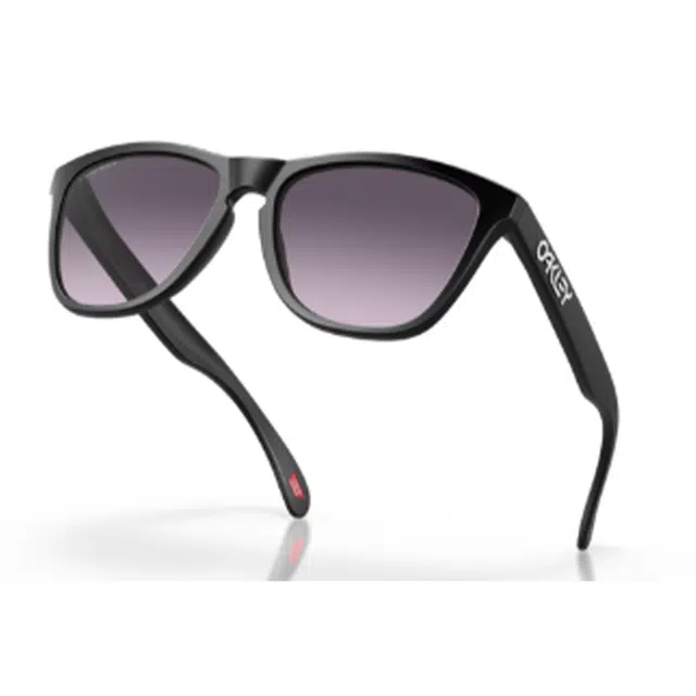 Oakley Frogskins 9245