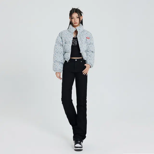 insclean fit