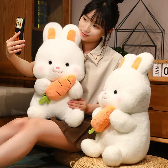 26cm38cm50cm