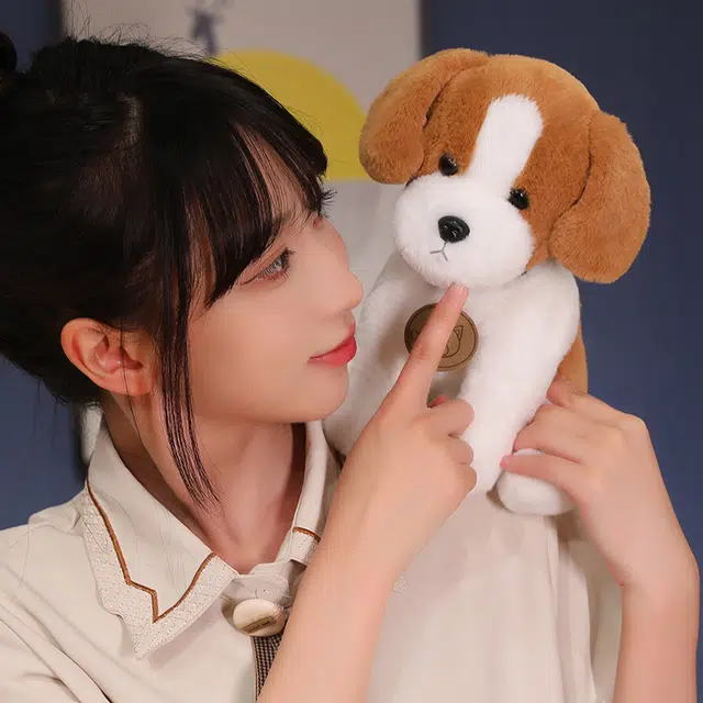 25cm