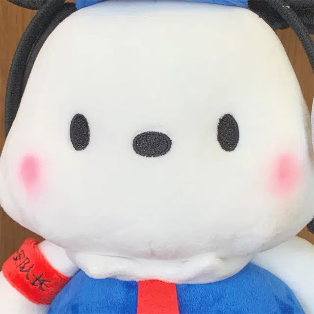25cm38cm