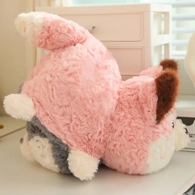 30cm40cm