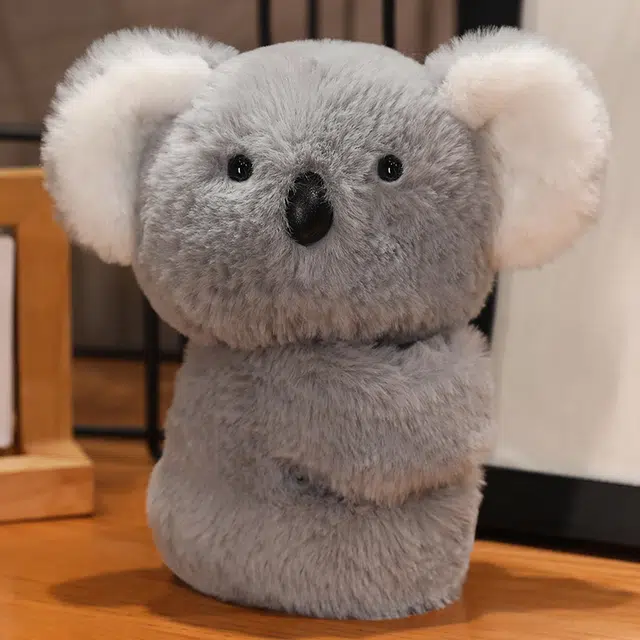 20cm