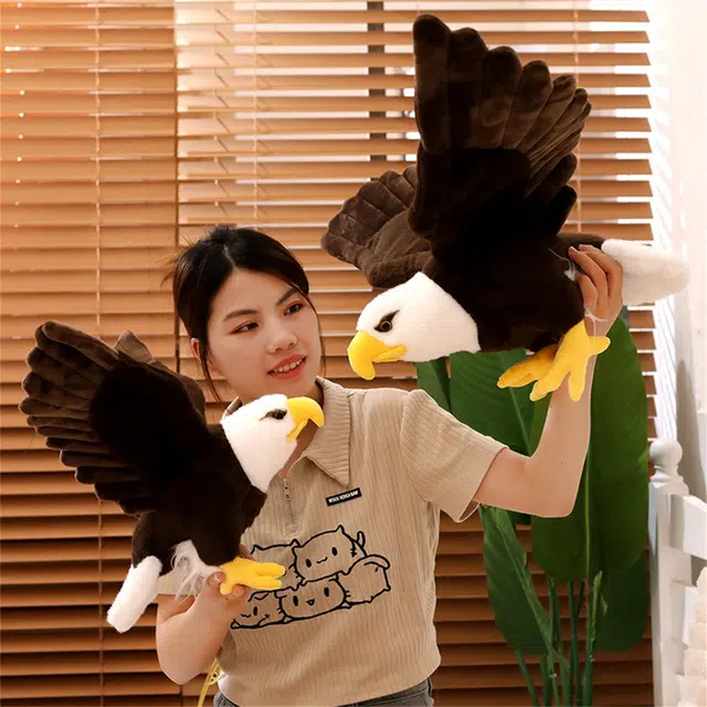 60cm90cm