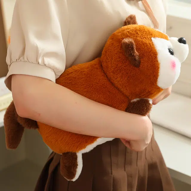 25cm35cm