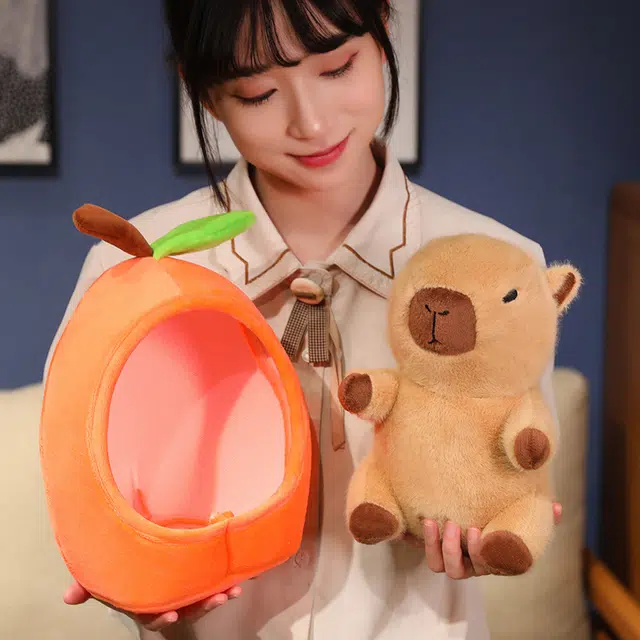 20cm30cm