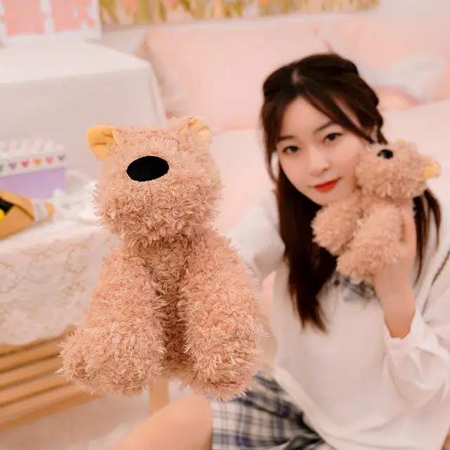 22cm30cm40cm
