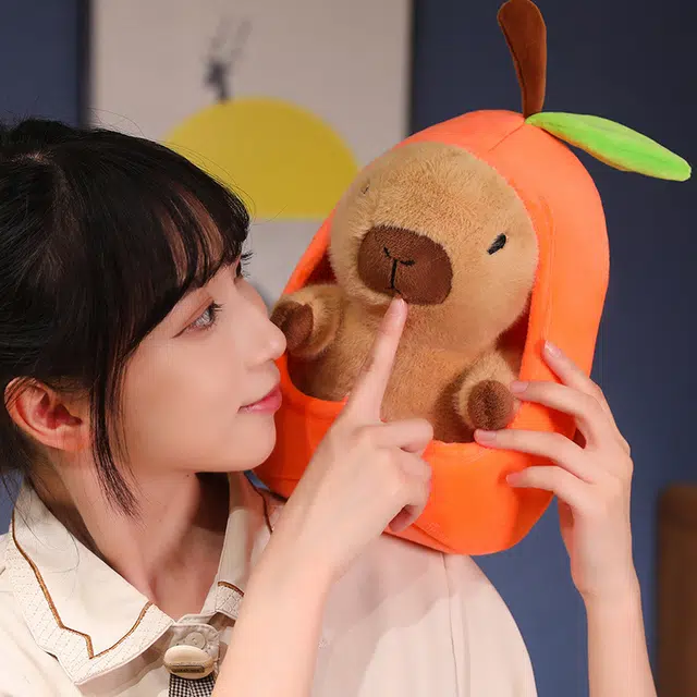 20cm30cm