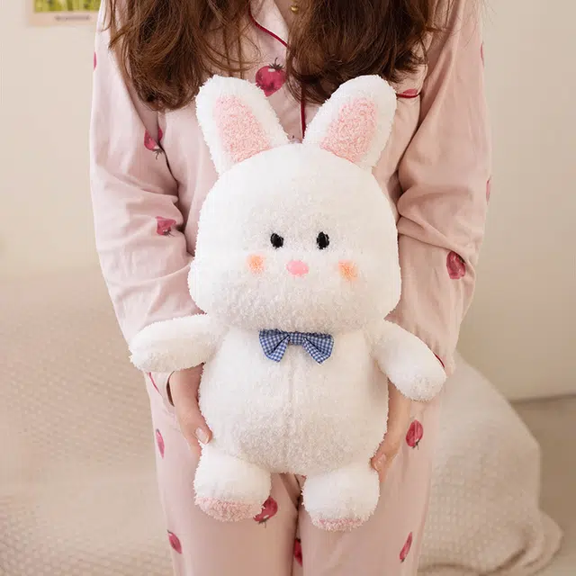 25cm35cm