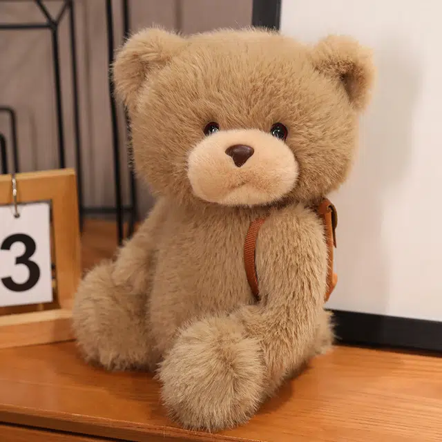 25cm35cm