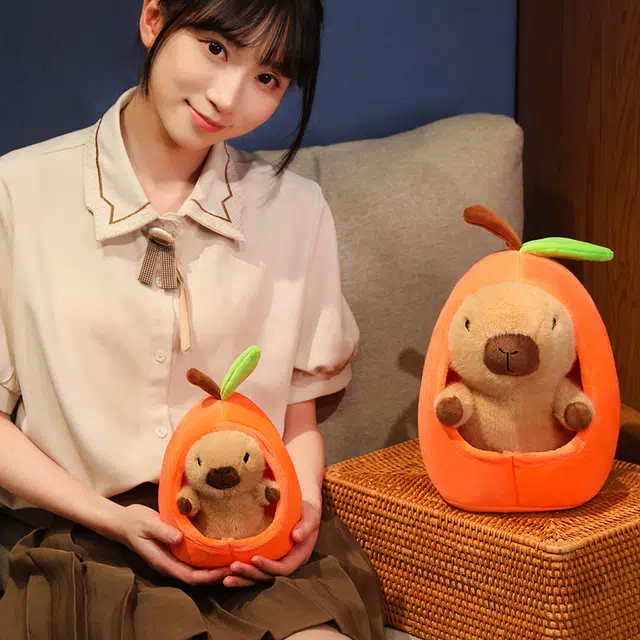 20cm30cm
