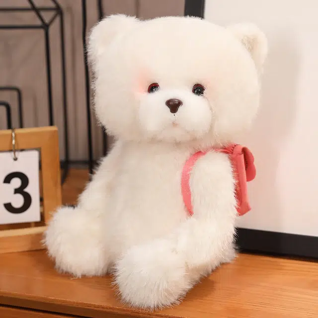 25cm35cm