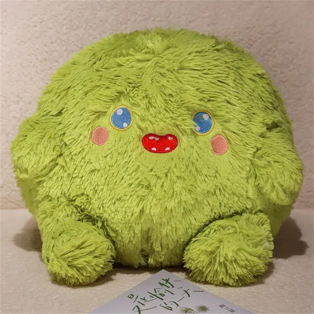 25cm35cm