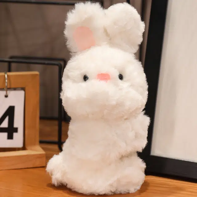 20cm