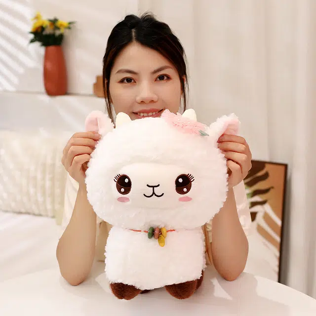 25cm30cm