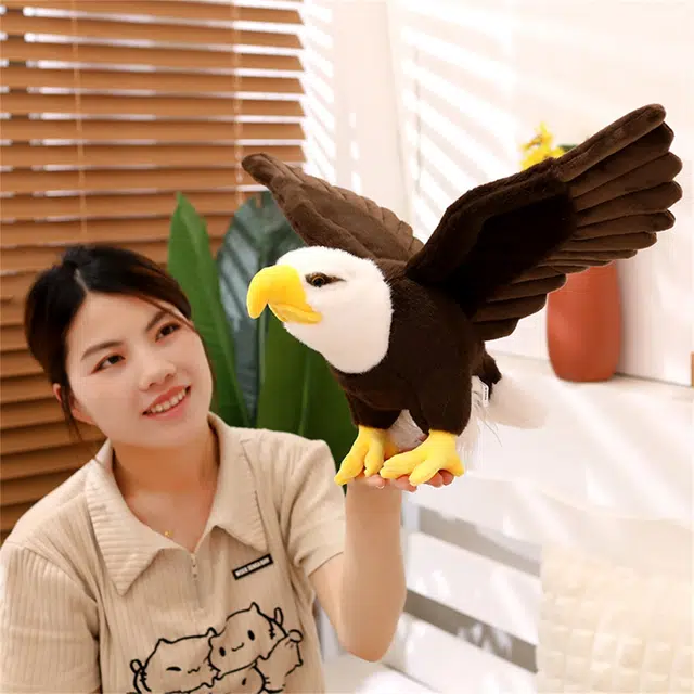 60cm90cm