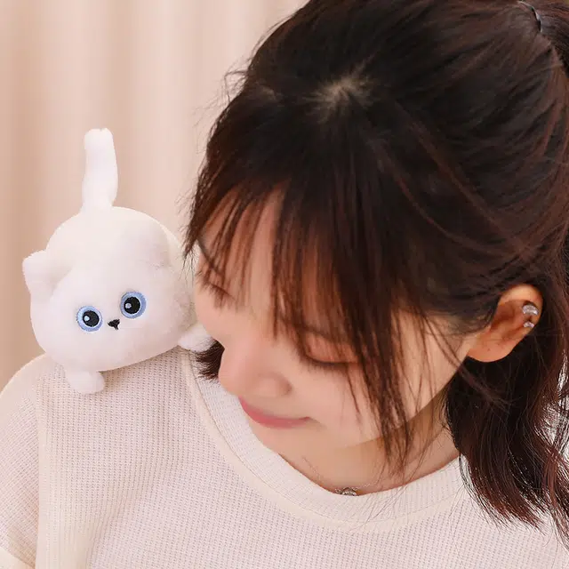 11cm