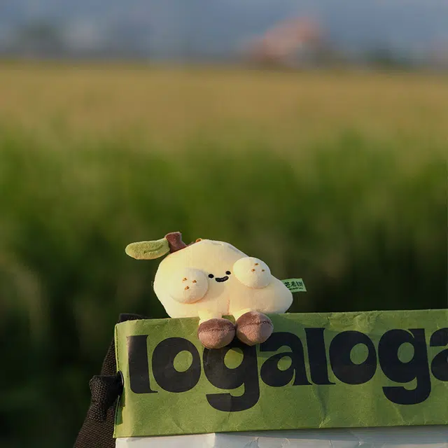 logaloga 6cm
