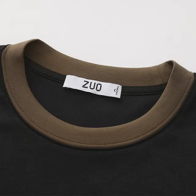 ZUO T