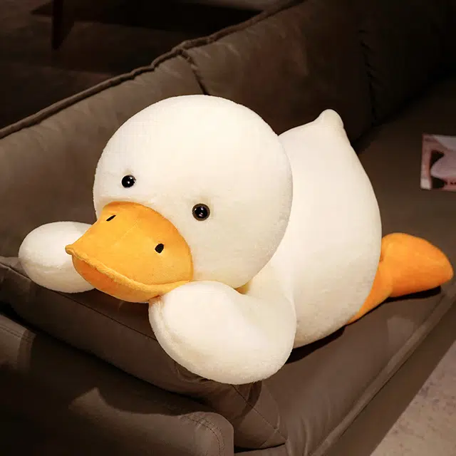 60cm80cm100cm
