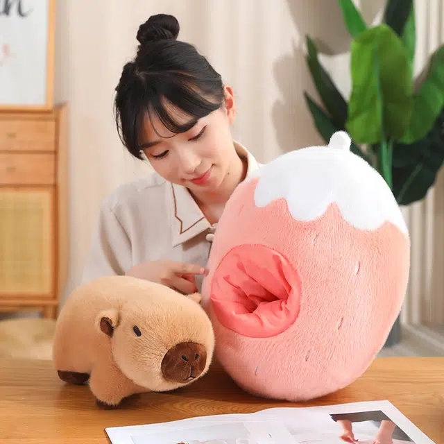 20cm30cm